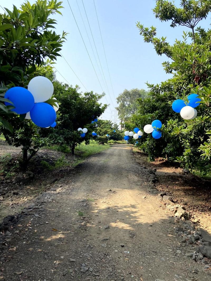 Mango Tree Farm image