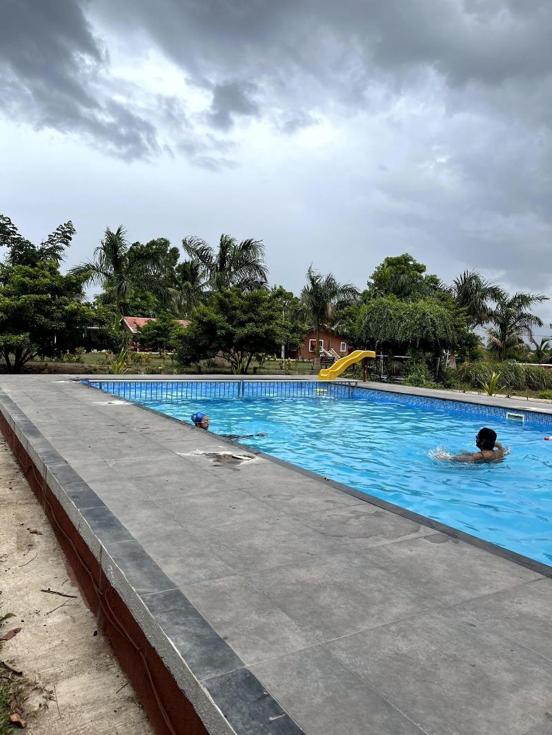 Mango Tree Farm image