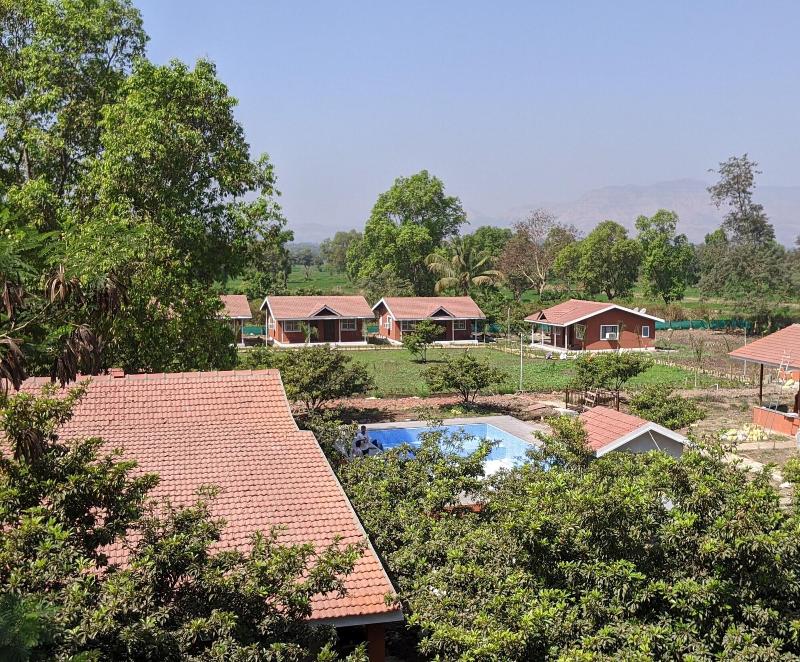 Mango Tree Farm image