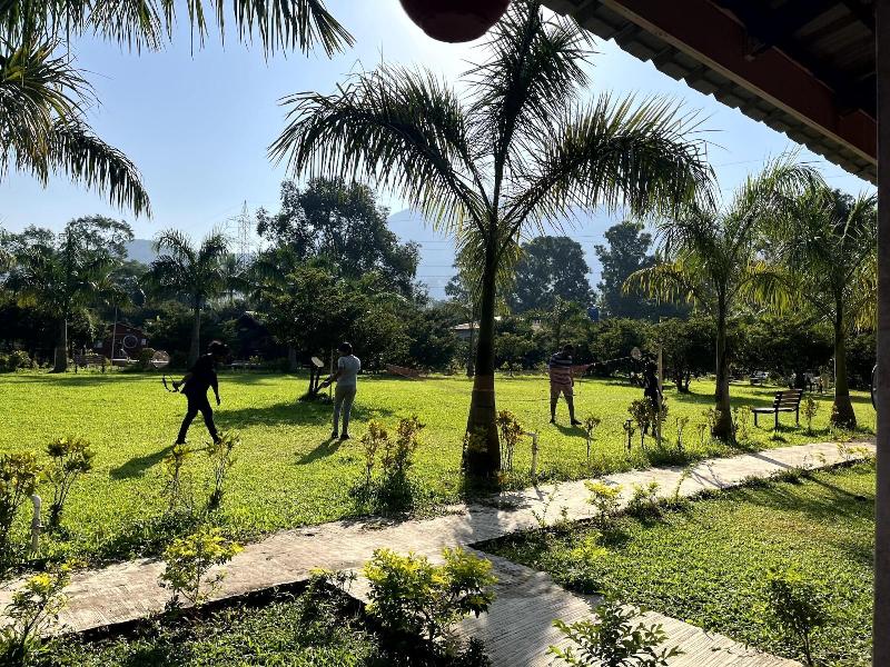 Mango Tree Farm image
