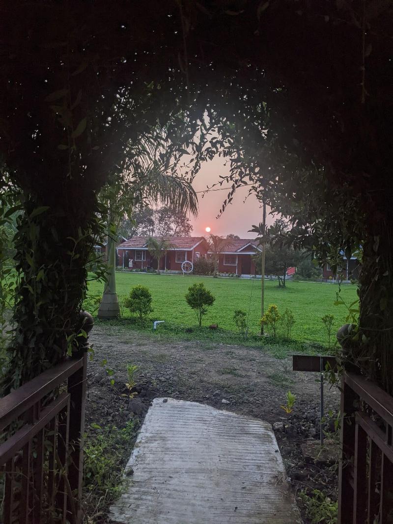 Mango Tree Farm image