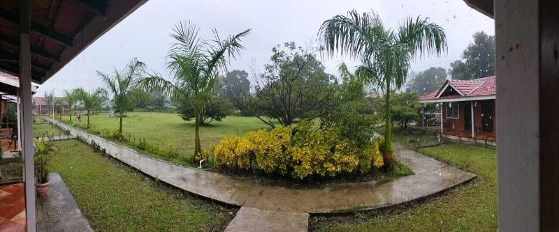 Mango Tree Farm image