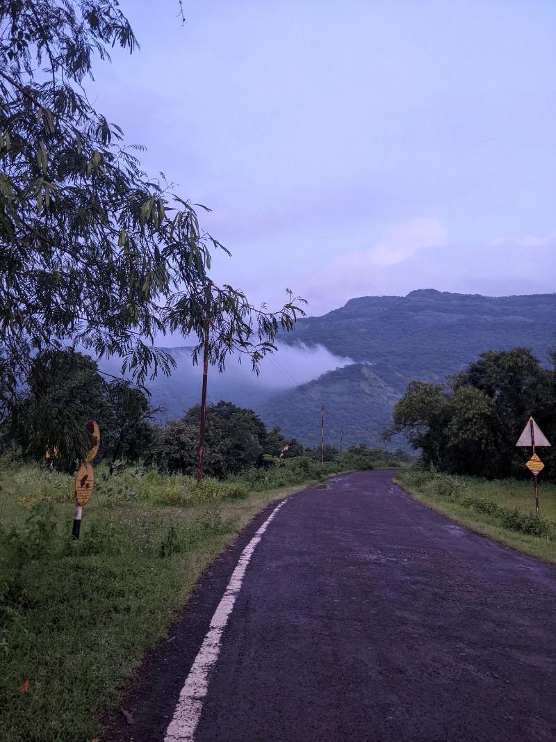 Mango Tree Farm image