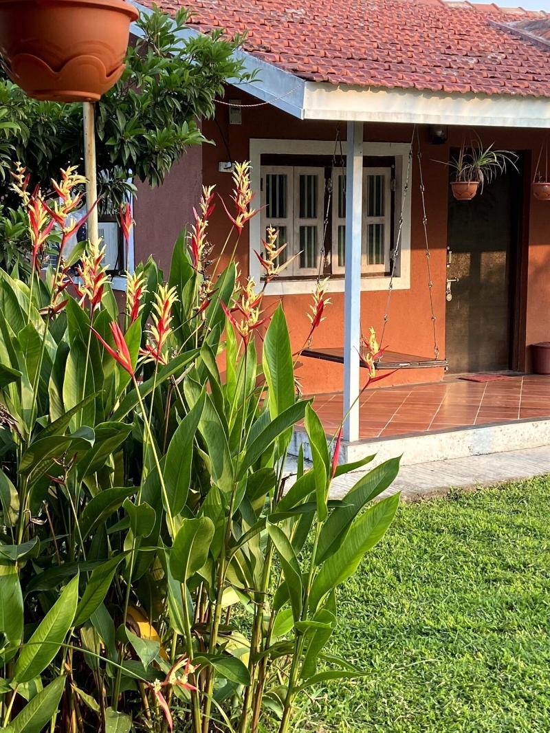 Mango Tree Farm image