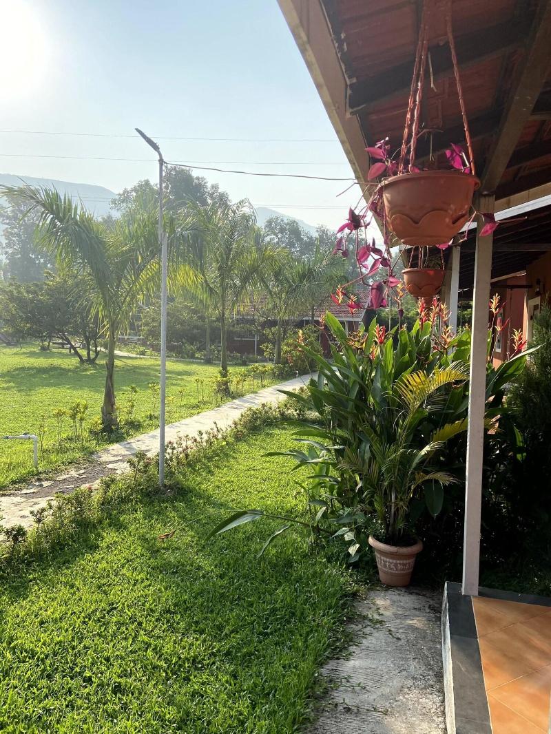 Mango Tree Farm image