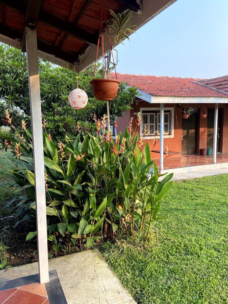 Mango Tree Farm image