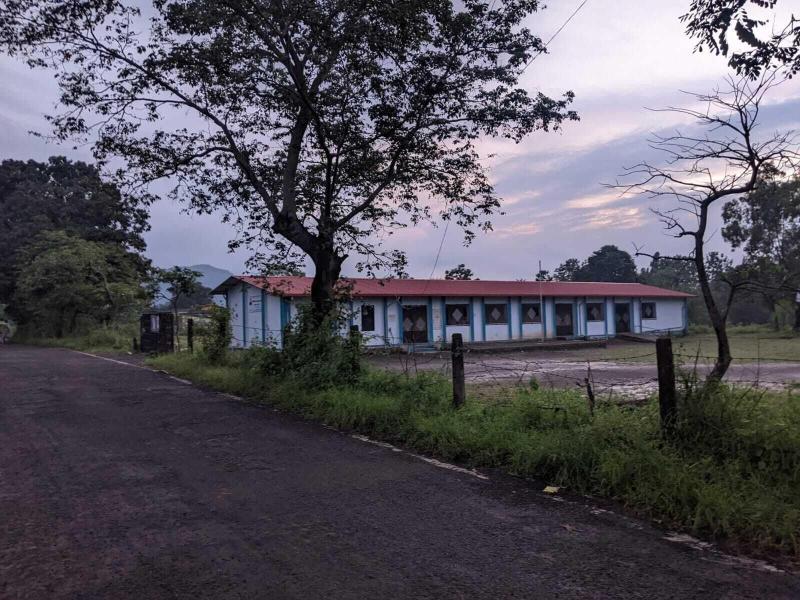 Mango Tree Farm image