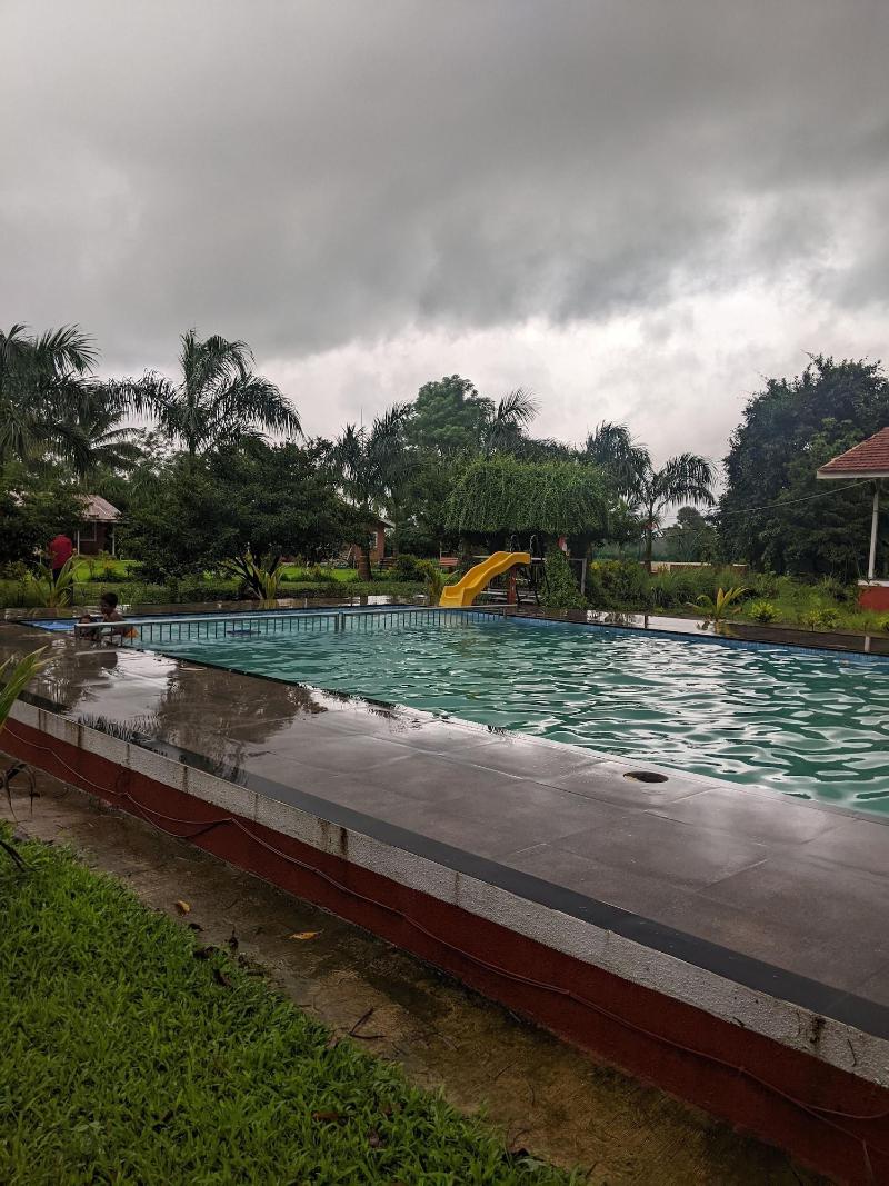 Mango Tree Farm image