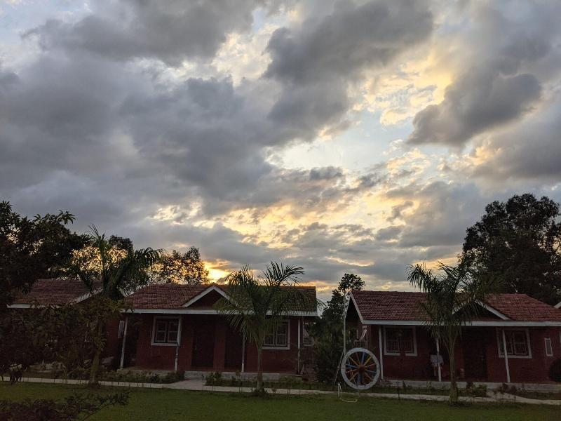 Mango Tree Farm image