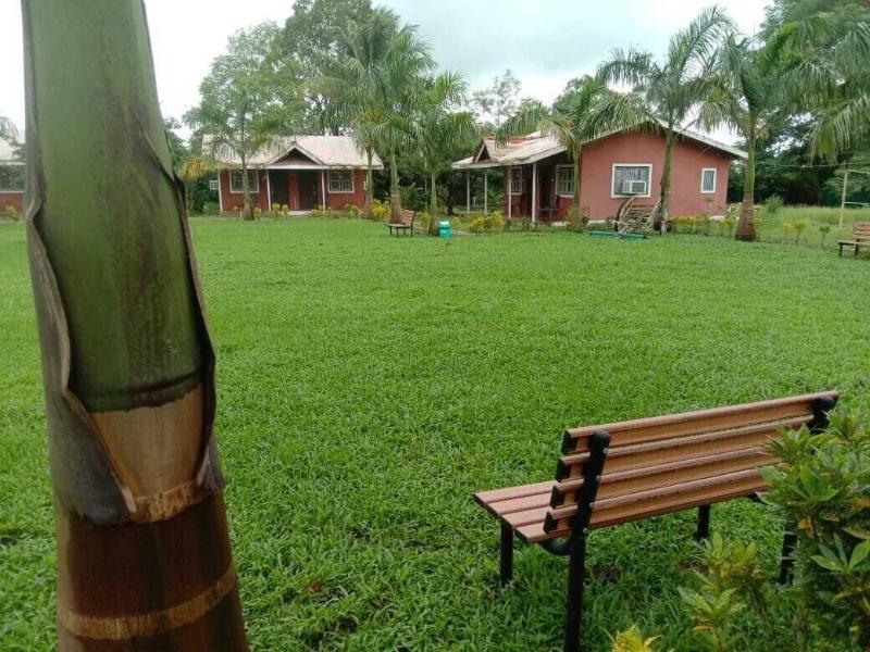Mango Tree Farm image