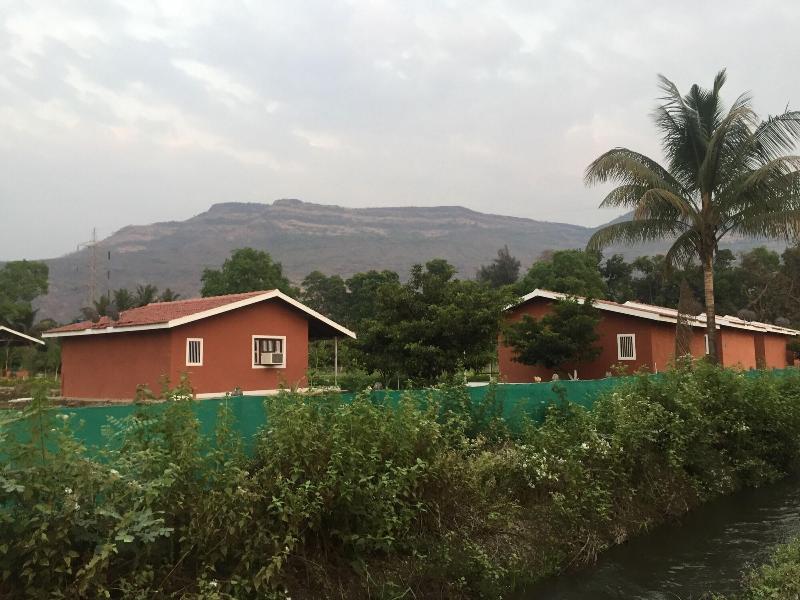 Mango Tree Farm image