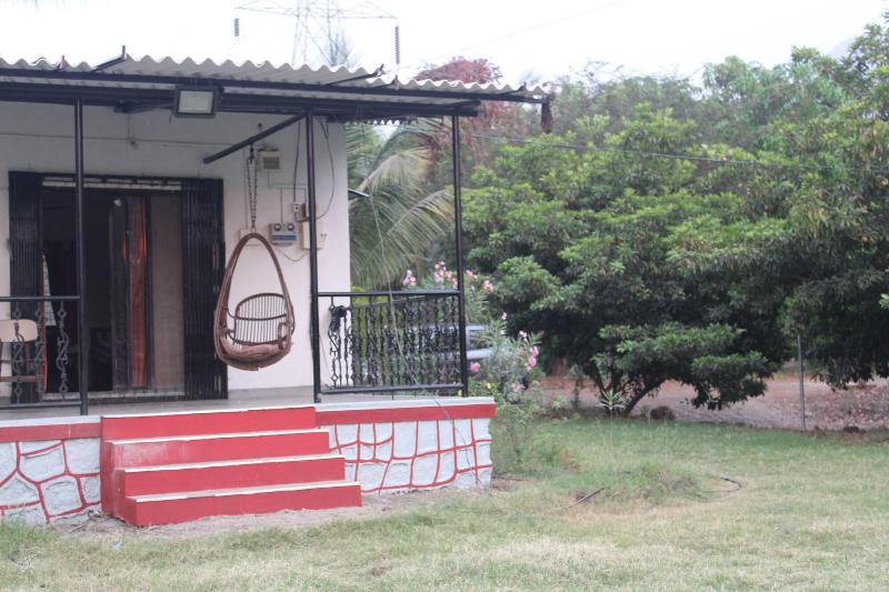 Mango Tree Farm image