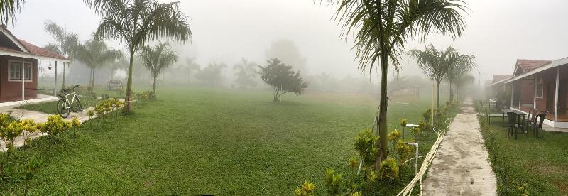 Mango Tree Farm image
