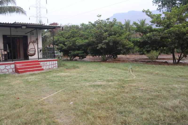 Mango Tree Farm image