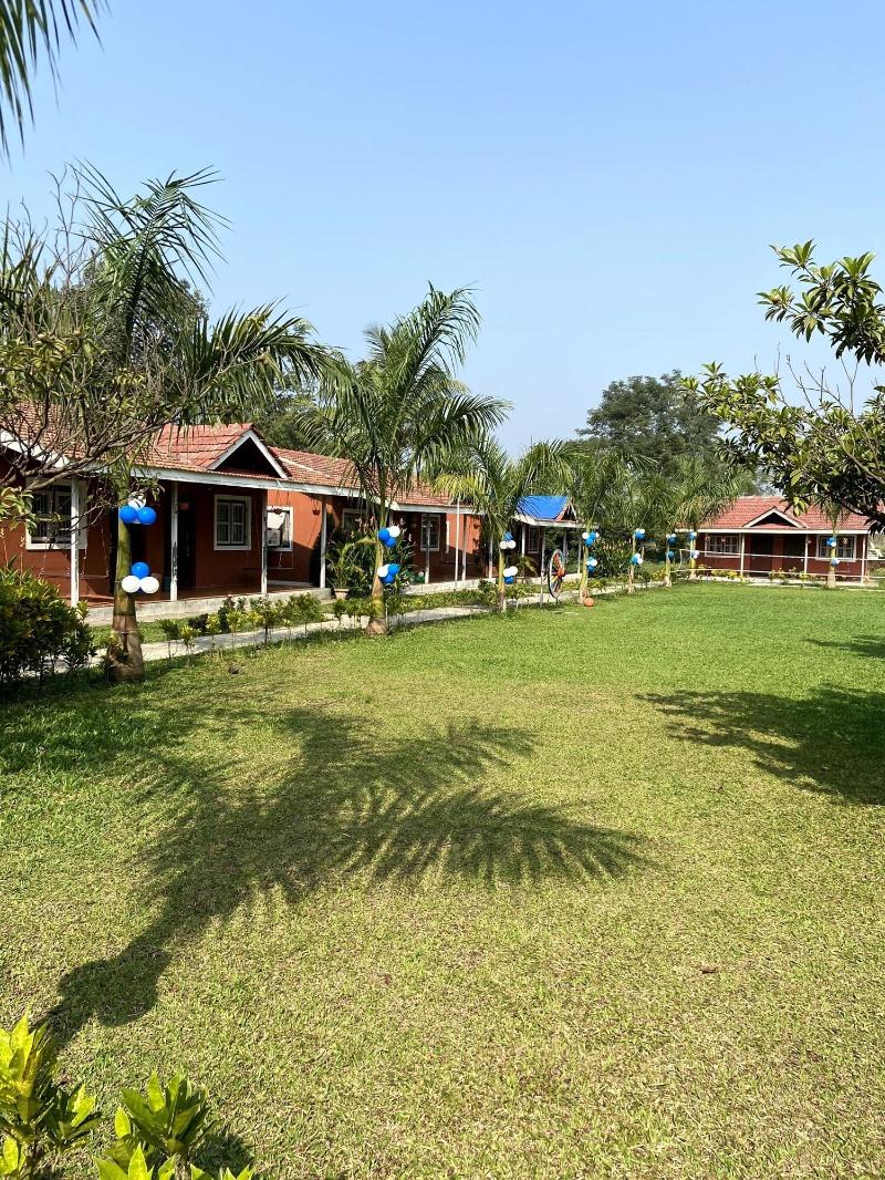 Mango Tree Farm image