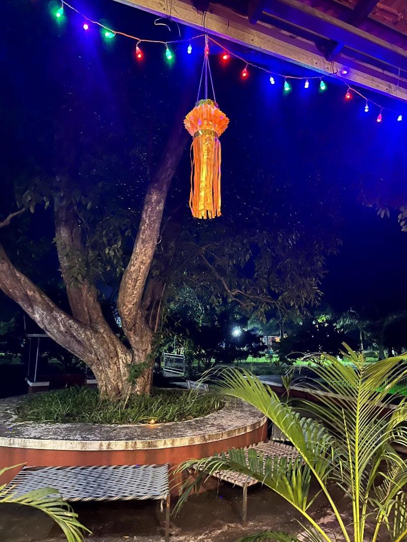 Mango Tree Farm image
