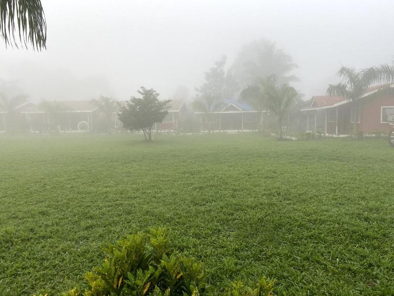 Mango Tree Farm image