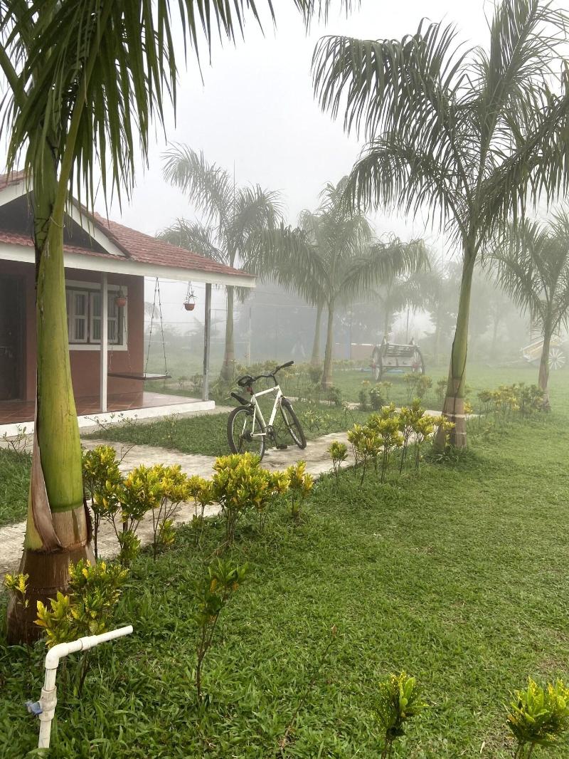 Mango Tree Farm image