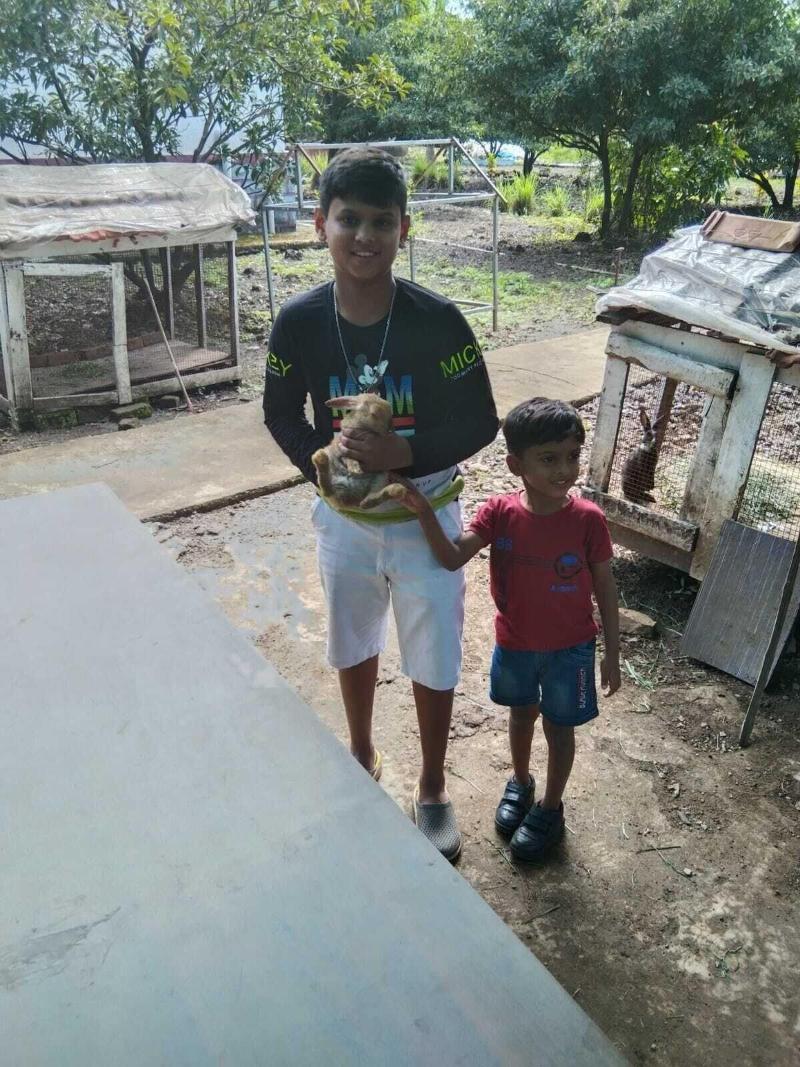 Mango Tree Farm image