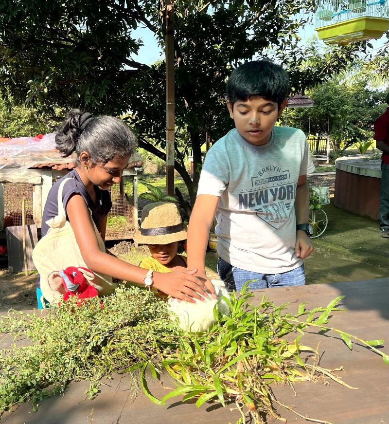 Mango Tree Farm image