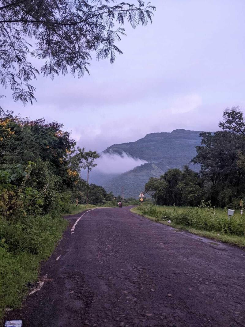 Mango Tree Farm image