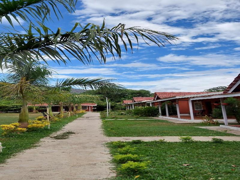 Mango Tree Farm image