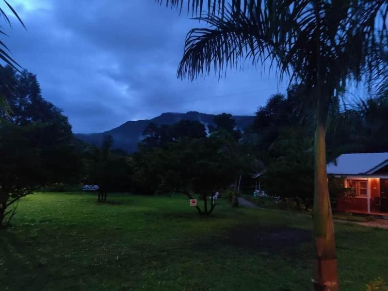 Mango Tree Farm image