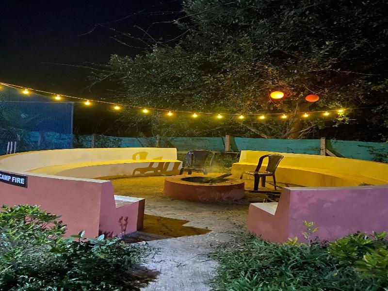 Mango Tree Farm image