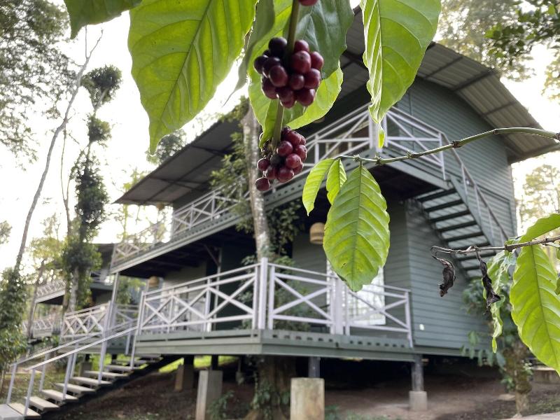 Machaan Wilderness Lodge Nagarahole