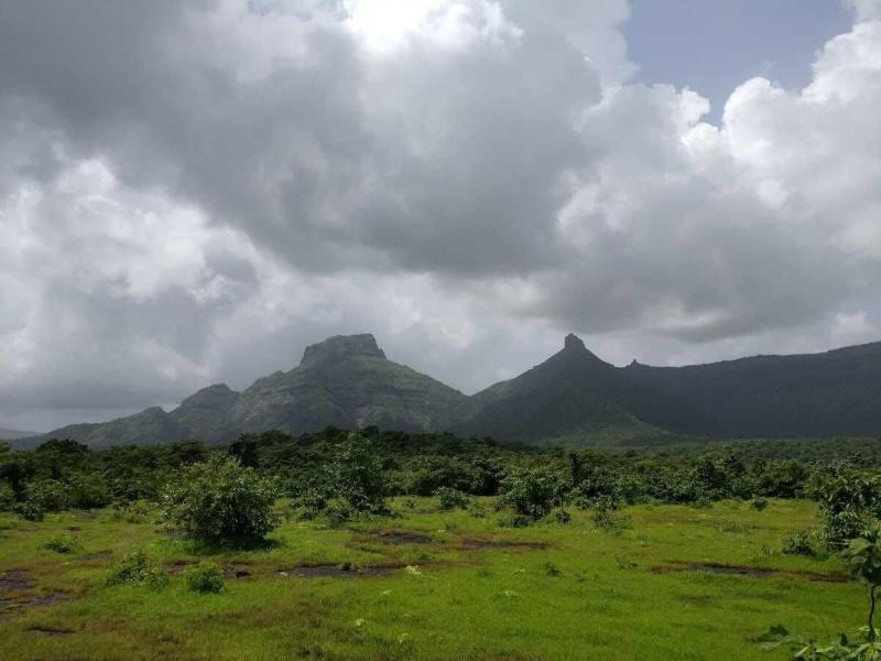 Hotel Mari Aai Residency image