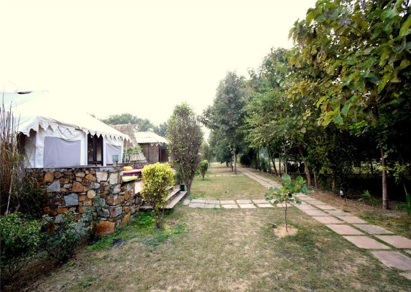 Sultan Bagh Ranthambore image