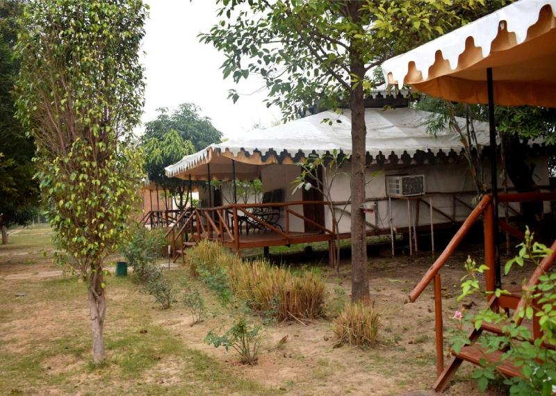 Sultan Bagh Ranthambore image