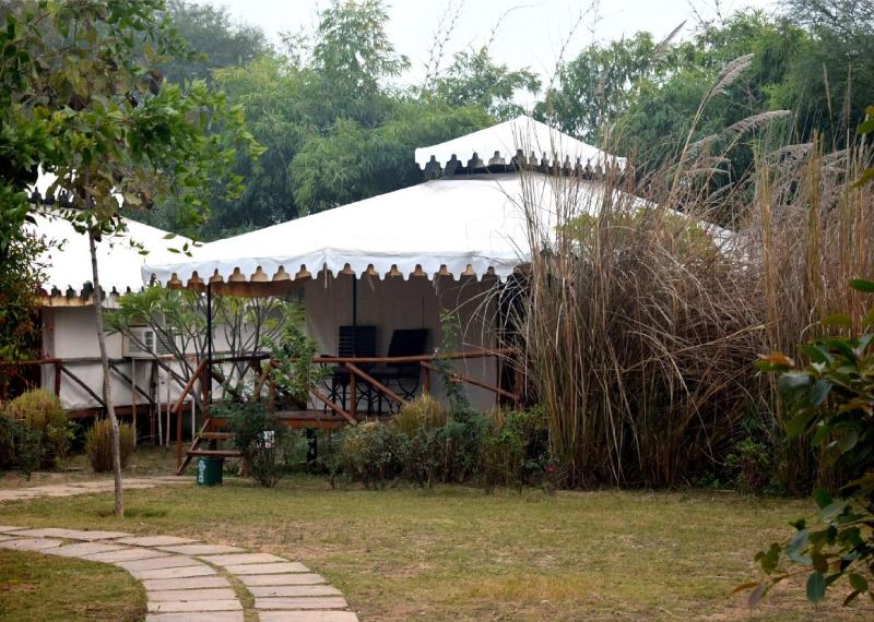 Sultan Bagh Ranthambore image
