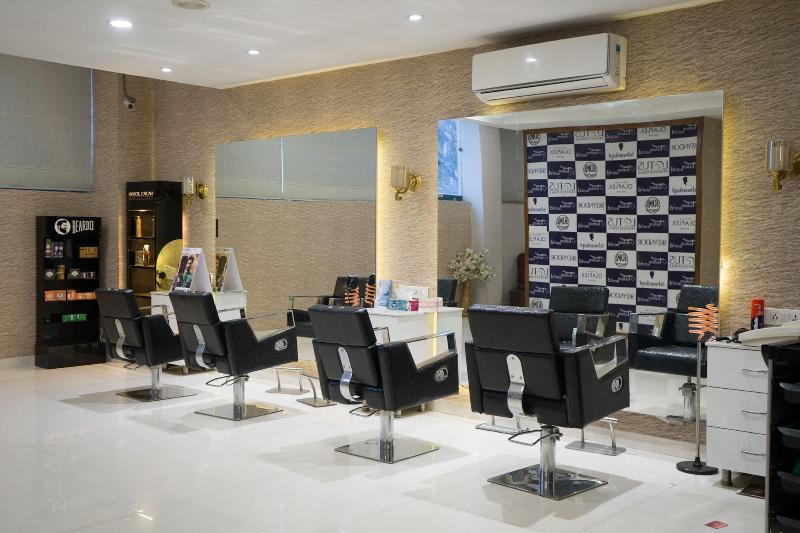 Hotel Clarks Inn Suites Kangra image