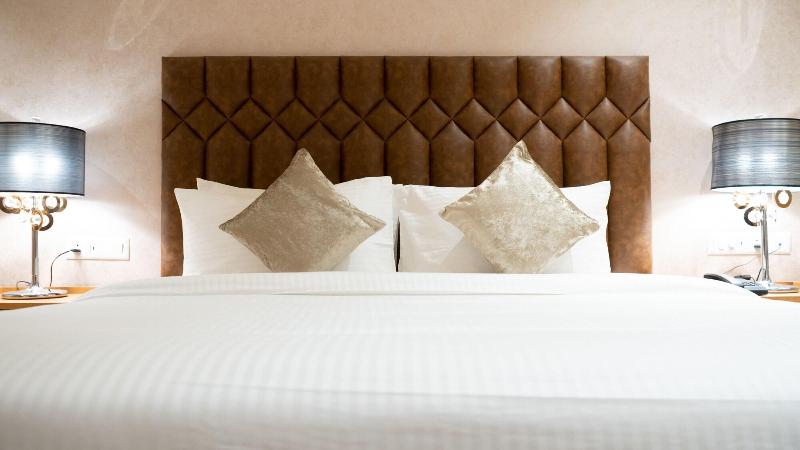 Hotel Clarks Inn Suites Kangra image