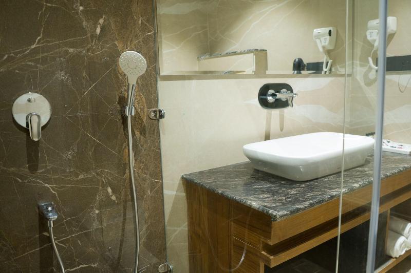 Hotel Clarks Inn Suites Kangra image