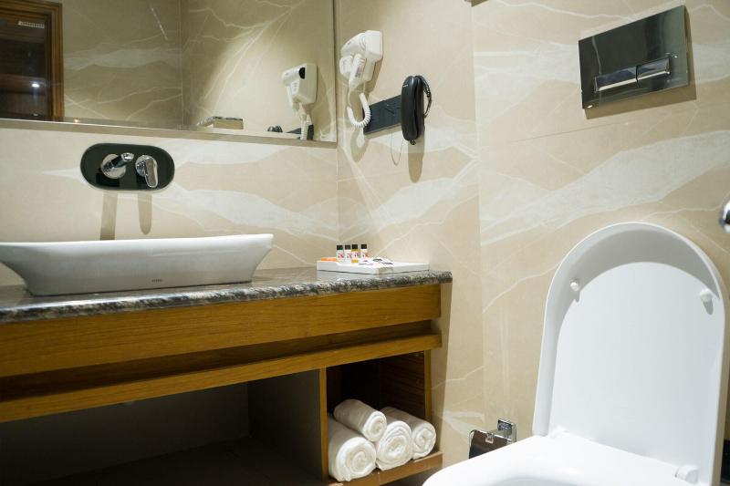 Hotel Clarks Inn Suites Kangra image