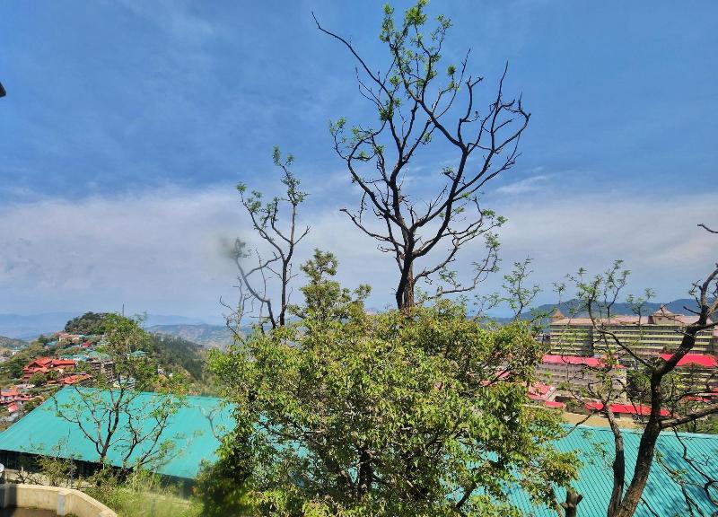 The Ashoka Inn image