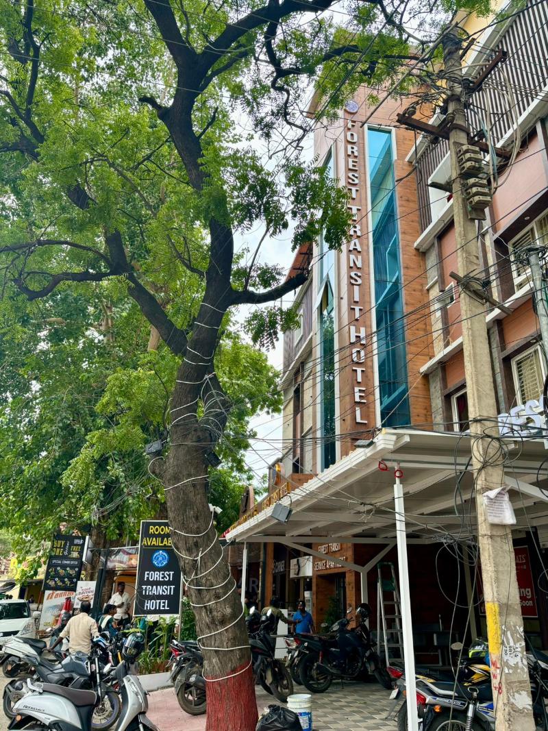 Forest Transit Hotel 2