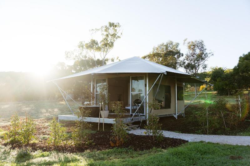 Cabn X Seppeltsfield Barossa