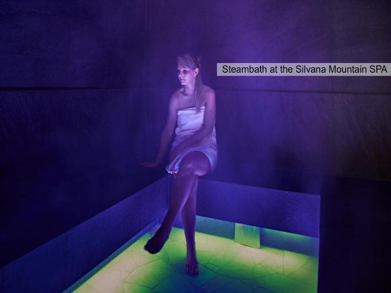 Silvana Mountain Hotel image