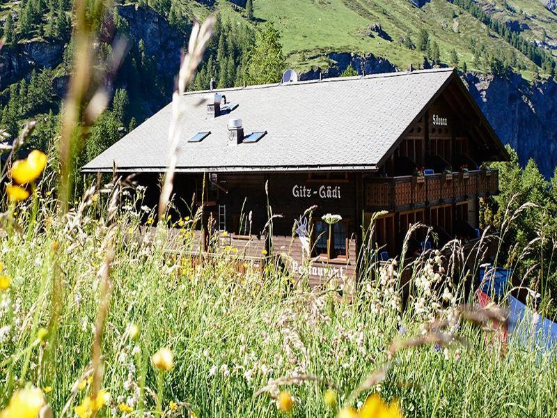 Silvana Mountain Hotel image