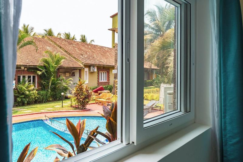 Alohagoa image