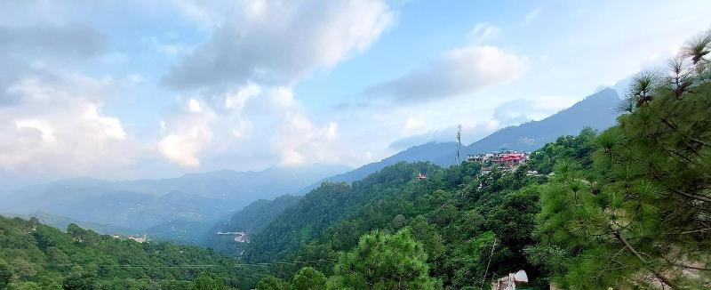Oren Kasauli image