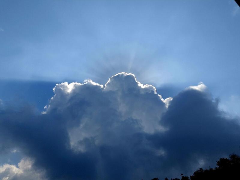Oren Kasauli image
