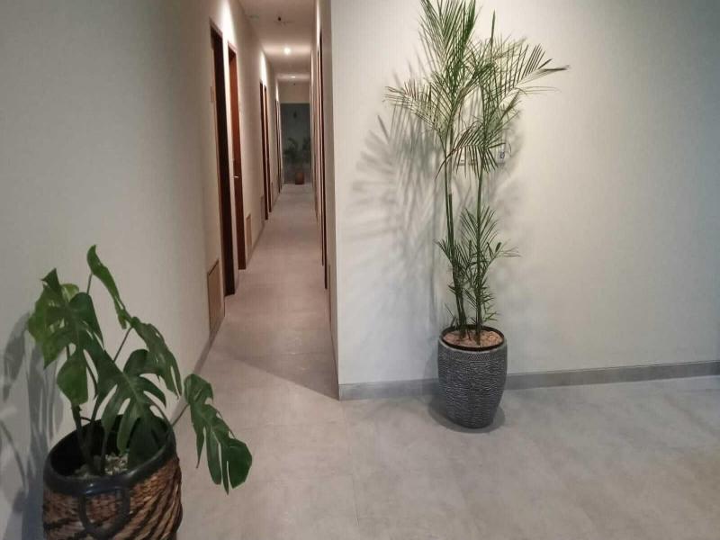 Casa Calma Hotel image