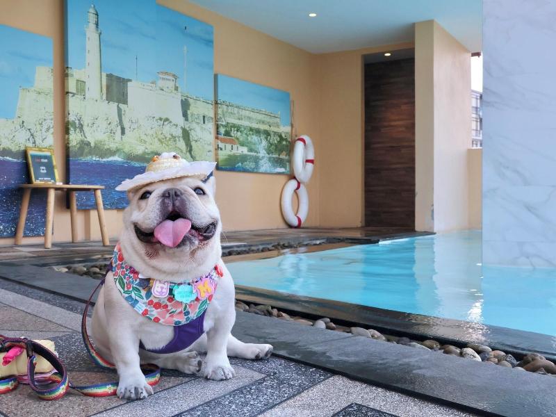 The Quba Boutique Hotel Pattaya image