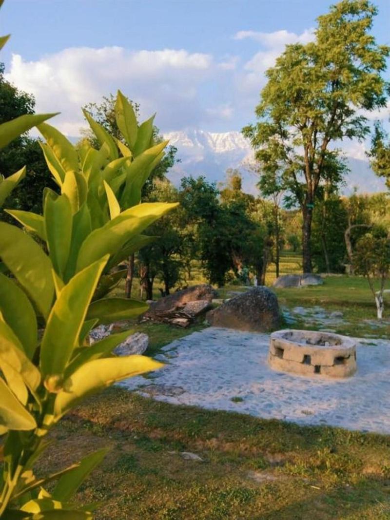 Dev Bhoomi Farms & Cottages — general view