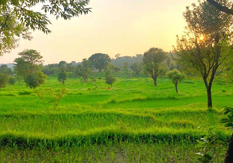 Dev Bhoomi Farms & Cottages — general view