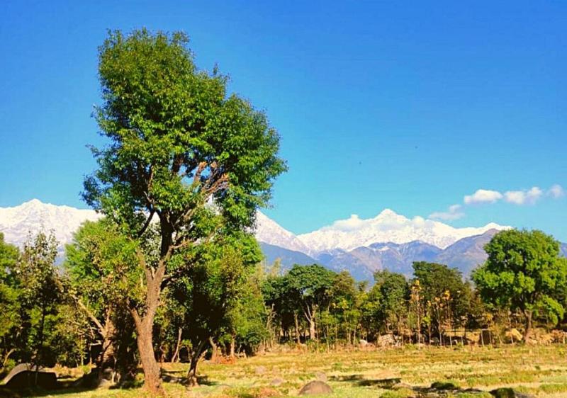 Dev Bhoomi Farms & Cottages image